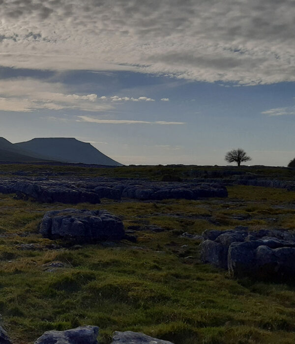 wild-ingleborough-project1 wild-ingleborough-project1