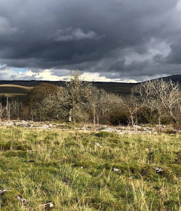 wild-ingleborough-project3 wild-ingleborough-project3