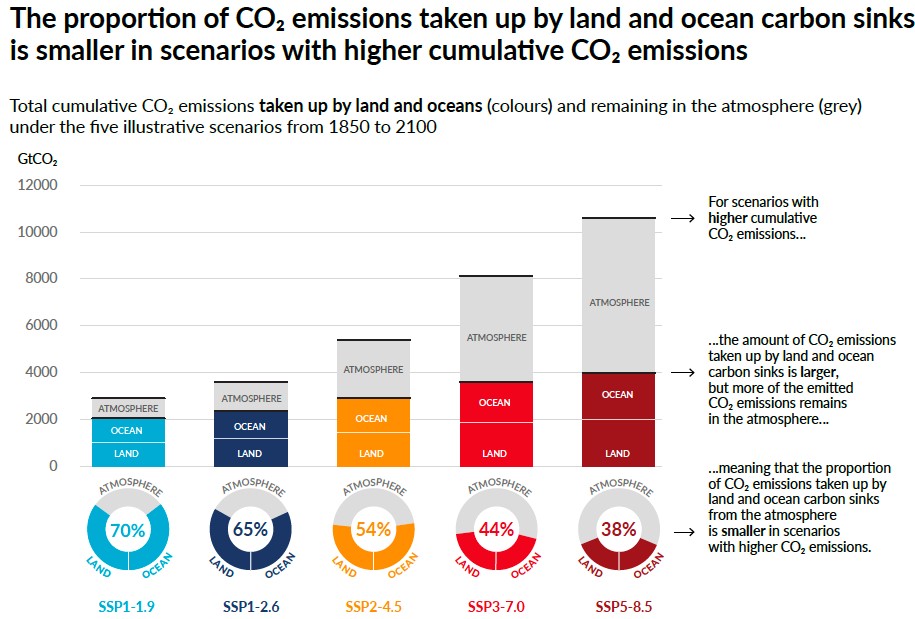 The proportion of carbon dioxide emissions taken up by land and ocean sinks is smaller in scenarios with higher cumulative CO2 emissions