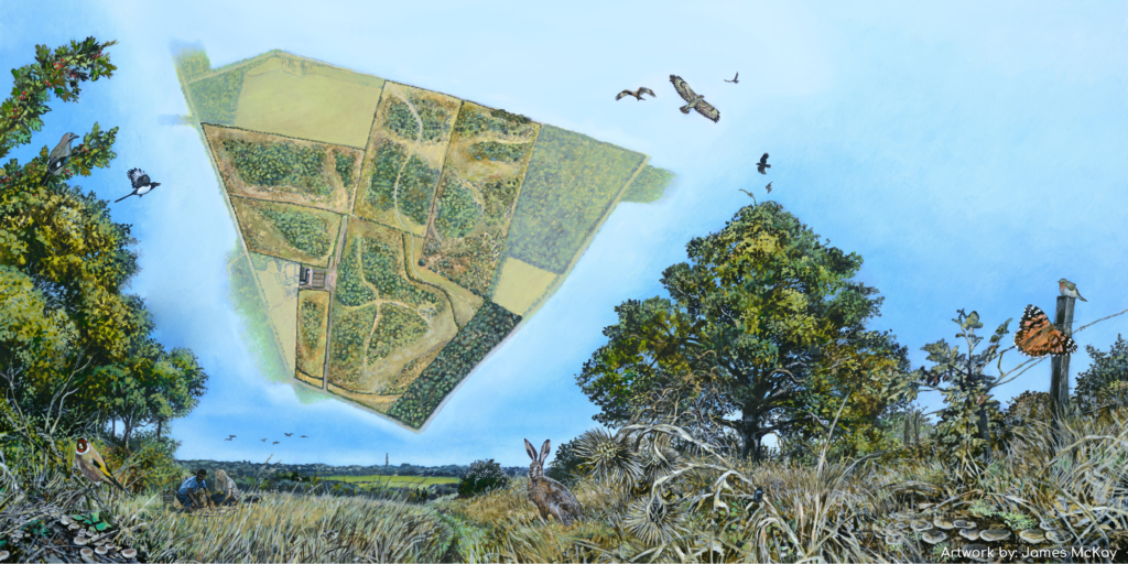 Artist's rendition of a woodland edge with a superimposed map showing pathways through planted woodland. The artwork is credited to James McKay.