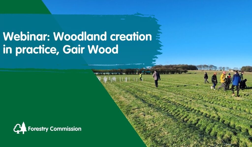 Photo of people planting trees in a field, overlaid with the text: 'webinar: woodland creation in practice, Gair Wood' as well as the Forestry Commission logo