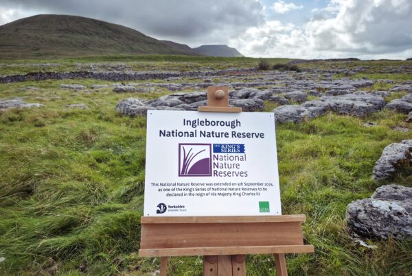 A sign on an easel in the iconic Ingleborough moorland landscape. It reads: "Ingleborough National Nature Reserve. The King's Series National Nature Reserves. This National Nature Reserve was extended on 5th September 2025, as one of the King's series of National Nature Reserves to be declared in the reign of his majesty King Charles III". The Natural England and Yorkshire Wildlife Trust logos are also on the sign.